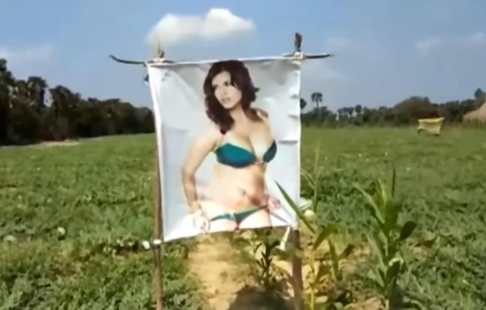 Порнозвезда пази от зли очи реколтата на фермер (СНИМКИ)