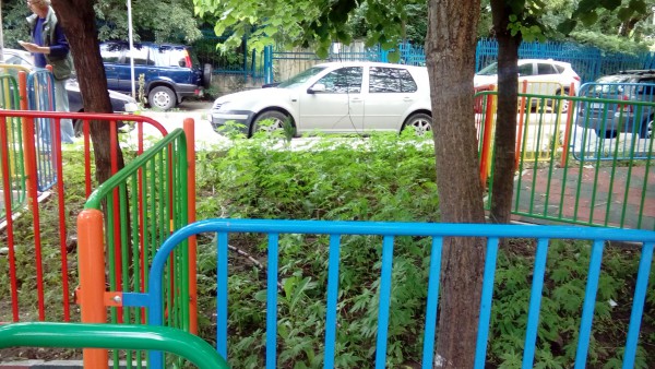 Детска площадка обрасна с канабис (Снимки)