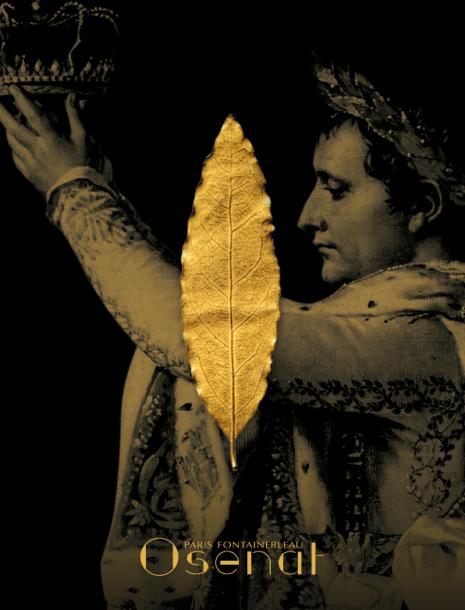 Продава се златно листо от короната на Наполеон (ВИДЕО)