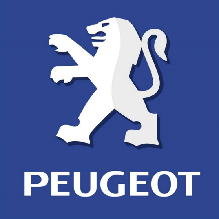 лого 2010