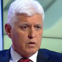 Димитър Стоянов