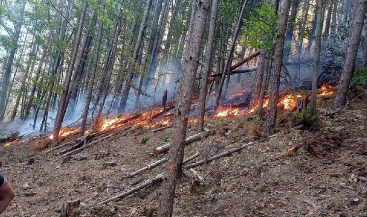 Голям пожар бушува край Габрово