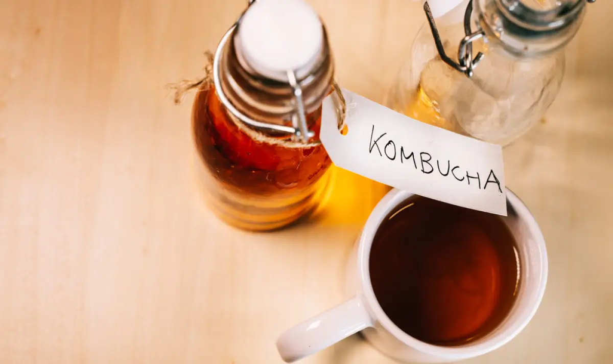 7 любопитни факта за комбуча