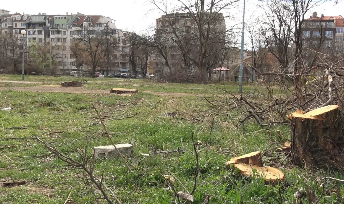 Озеленяването и борбата с жегите