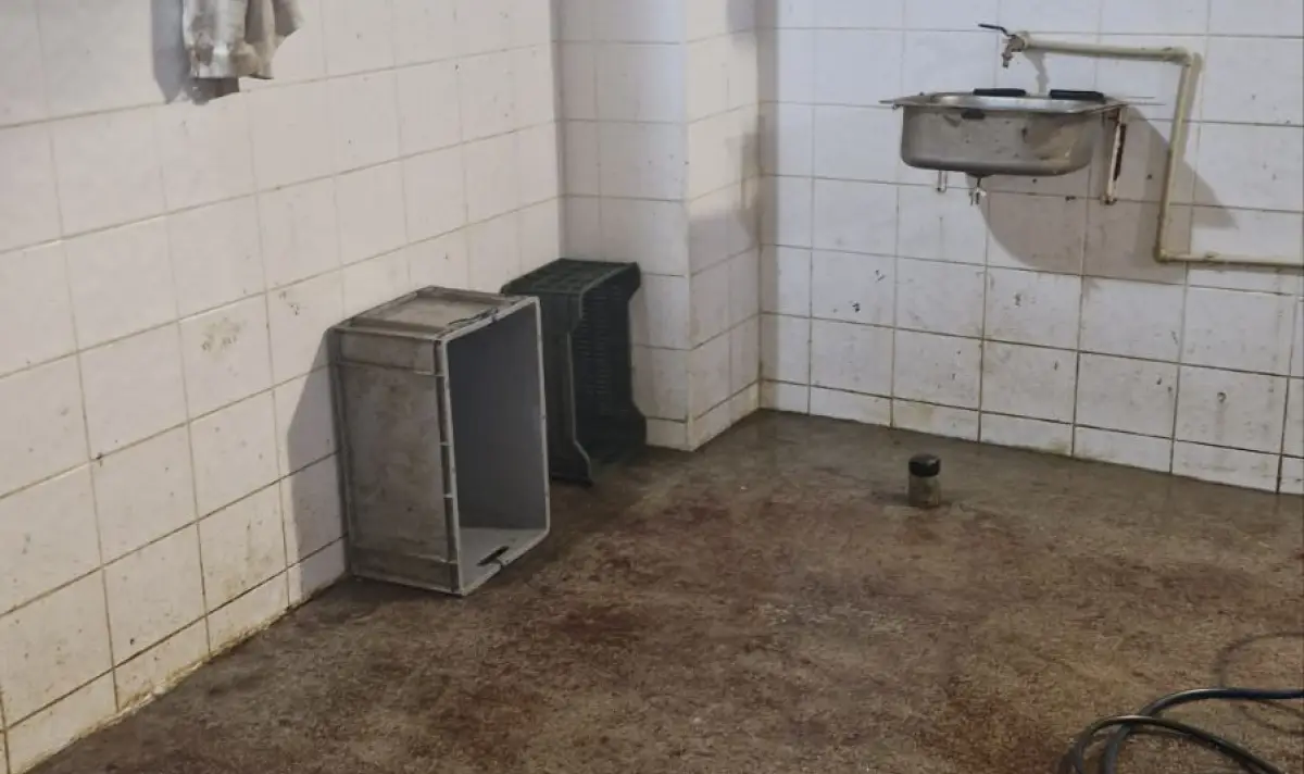 Незаконна кланица в Ихтиман