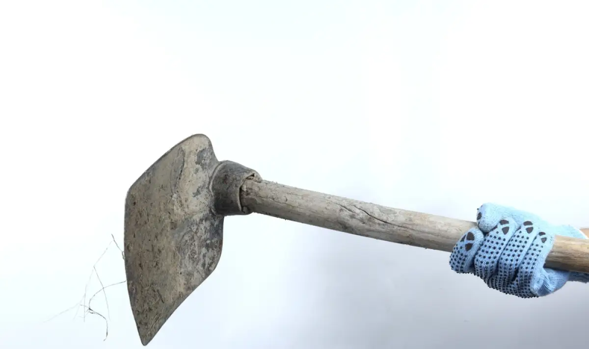 Син уби баща си с мотика в Балчик | ФАКТИ.БГ Син уби баща си с мотика в Балчик