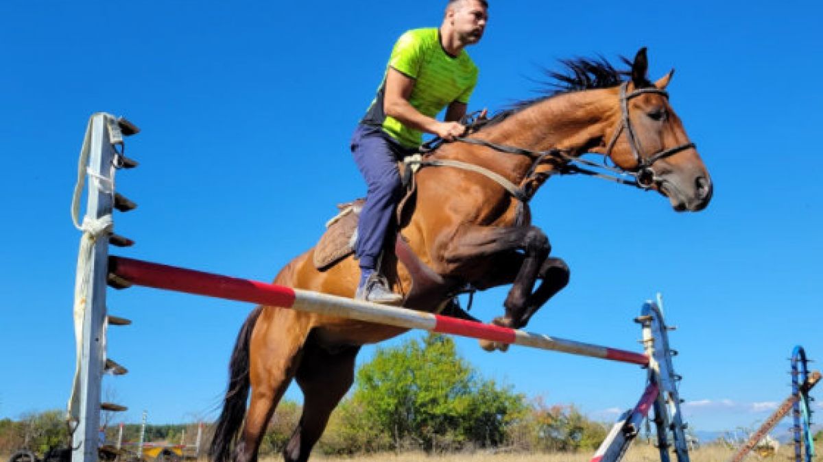 Тервел Пулев претърпя инцидент с кон