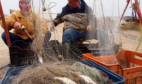 В Турция започна новият риболовен сезон - очаква се много, но по-скъп паламуд - 1