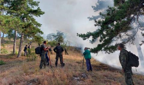 Големи горски пожари бушуват из Хасковско - 1
