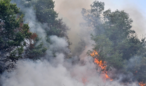 Критична остава обстановката при пожара в Тополовградско и Харманлийско - 1