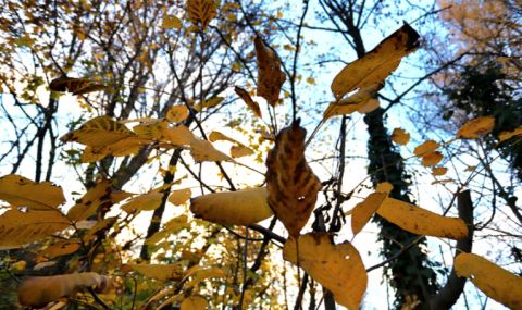 Времето днес, прогноза за неделя, 8 октомври: Слънчево утро, облачността се увеличава - 1