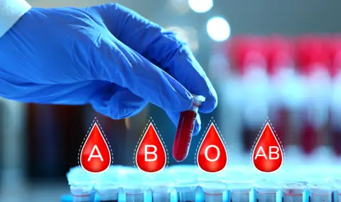 Към какви болести сте предразположени според кръвната група - 1