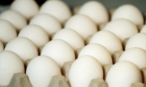 В Германия хванаха заразени с фипронил яйца от Холандия - 1