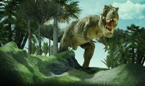 Тиранозавър, погълнал две бебета динозаври, разкри как се е хранил изчезналият вид - 1