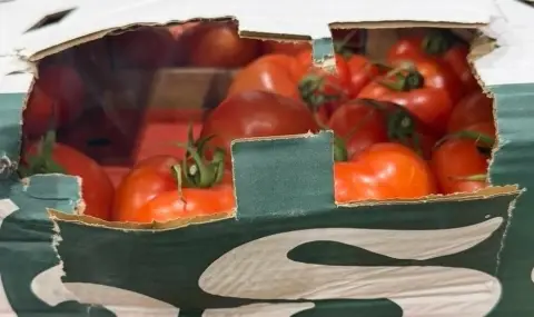 Митничари на пункт "Лесово" спряха недекларирани 16 тона зеленчуци