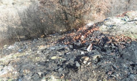 Угасиха пожар в нерегламентирано сметище край Благоевград - 1
