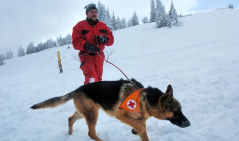 Спасители с кучета от БЧК са готови да заминат за Непал - 1