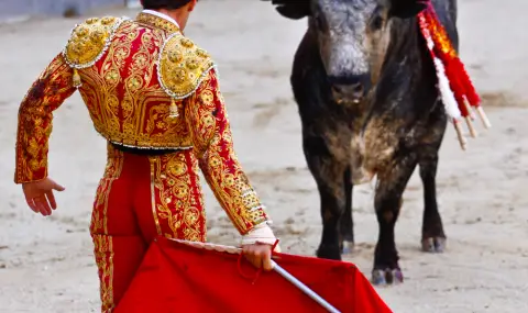 Бик захвърли млад бикоборец в стена пред очите на стотици, зрител от публиката почина от гледката (ВИДЕО 18+) - 1