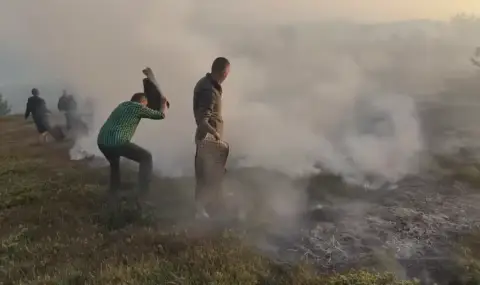 Филмовият екип от "Ком-Емине" се включи в гасенето на пожар край Петрохан - 1