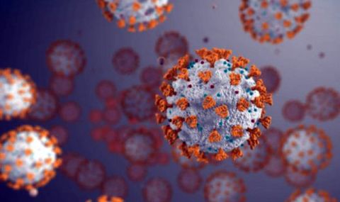 Корoнaвирусната мутация стана имунна срещу антитела - 1