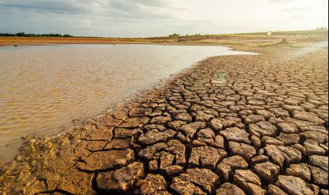 Щетите от сушата в света са 13,2 млрд. долара само за първата половина на годината - 1