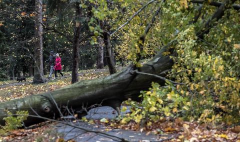 Няма пострадали български граждани след страшната буря в Чехия - 1