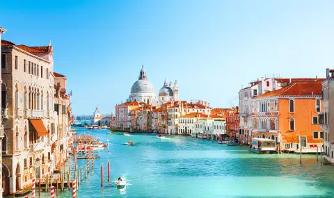 Десет души бяха ранени при падането на голямо дърво във Венеция - 1