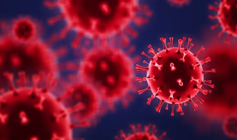 В Канада регистрираха първи случай на силно мутирал подвариант на коронавируса - 1