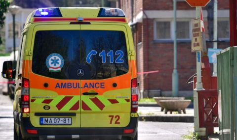 В Нидерландия изясняват причините за кървавия инцидент с камиона, убил шестима по време на тържество - 1