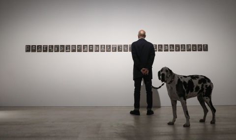 Откриха специална изложба за кучета в мексикански музей (СНИМКИ) - 1