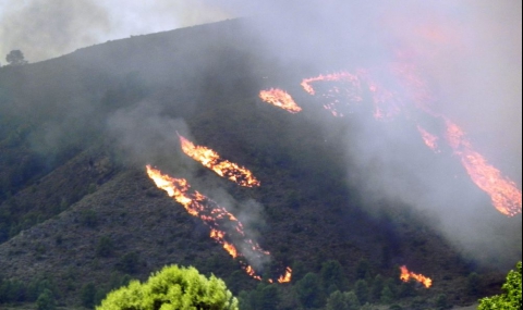 Горски пожари бушуват в Испания - 1