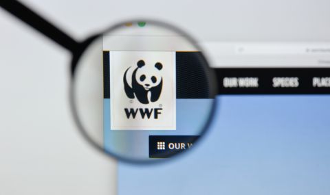 Русия обяви WWF за нежелана организация в страната - 1