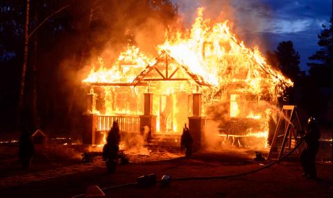 Финландец запали къщата си, в опит да се отърве от змия - 1