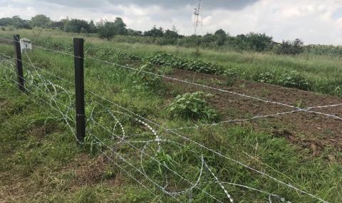 Готови са 81 км от оградата срещу диви свине на границата с Румъния - 1