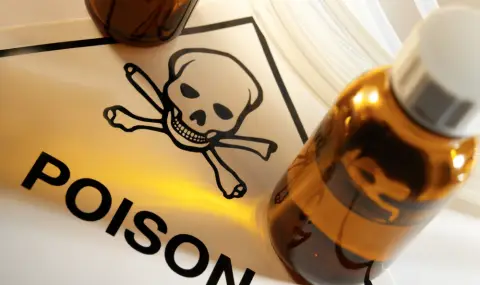 Съпругата на шефа на украинското военно разузнаване е била отровена - 1