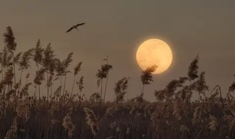 Какво ще ни донесе пълнолунието в Телец на 5 ноември - 1