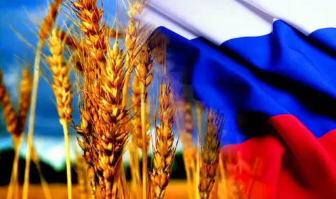 Руската пшеница поскъпна рязко до 235 долара за тон - 1