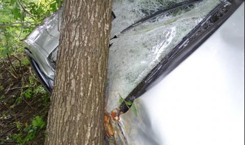 Шофьор без книжка се заби в дърво край Плевен и загина на място - 1
