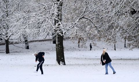 Прогноза за времето днес, 23 януари: Валежи от дъжд, ветровито - 1