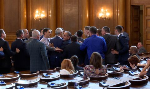 Политически психолог: В НС нещата са нещо средно между читалищна самодейност и вяла интерпретация на Ганкиното кафене - 1