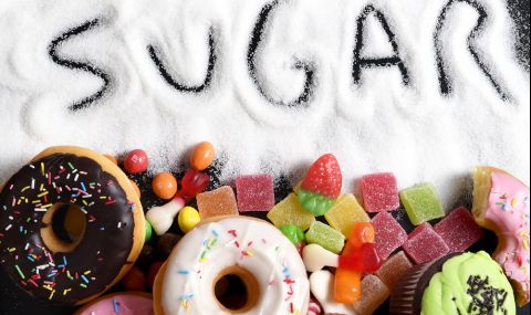 Учени обясниха влиянието на захарта върху чревната флора, заради което дебелеем - 1