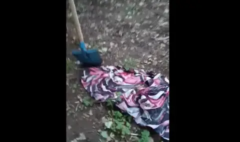 Зловеща находка: Деца откриха мъртви и малтретирани котки в парк "Въртопо" - 1