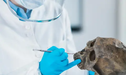 Учени създадоха реконструкция на лицето на неандерталска жена, живяла преди 75 000 години - 1