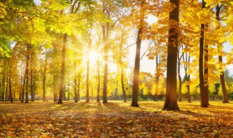 До 30 градуса днес - 1