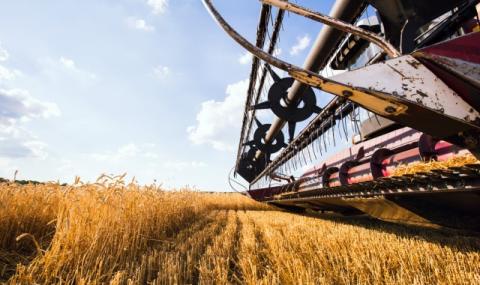 Жътвата на пшеницата в Добричко приключи - 1