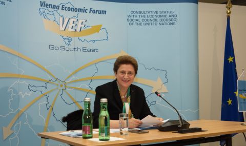 Посланик д-р Елена Кирчева за ФАКТИ:  Позицията ни за Северна Македония не е държавнически мъдра - 1