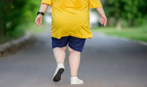 Учени разбраха как затлъстяването предизвиква възпаления и заболявания - 1