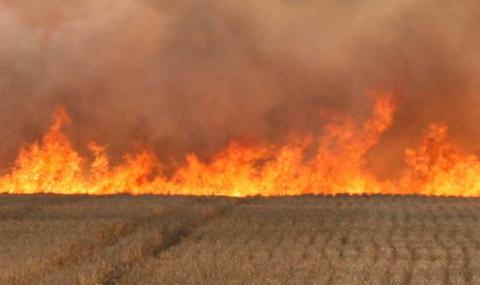 Пожар изпепели 100 дка жито във Варненско - 1