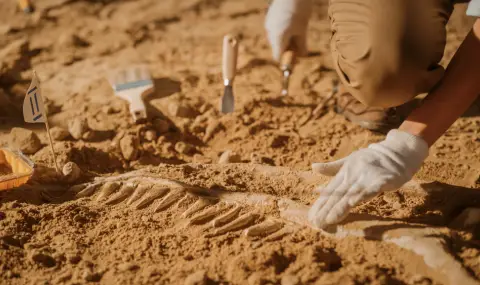 Откриха загадъчна сграда на 4000 години пълна с животински кости на о. Крит (СНИМКИ) - 1