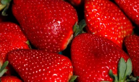 С 50% по-скъпи ягоди на Острова след Брекзит - 1
